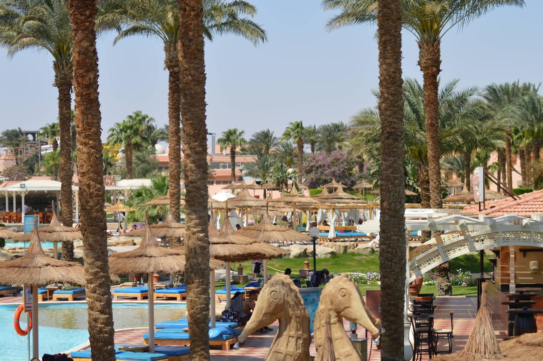 Ruhebereich Beach Albatros Resort