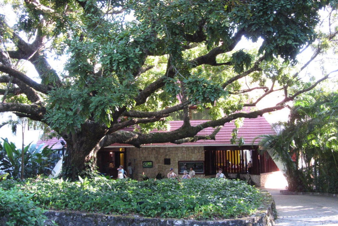 Lobby von aussen Hotel Mision Palenque