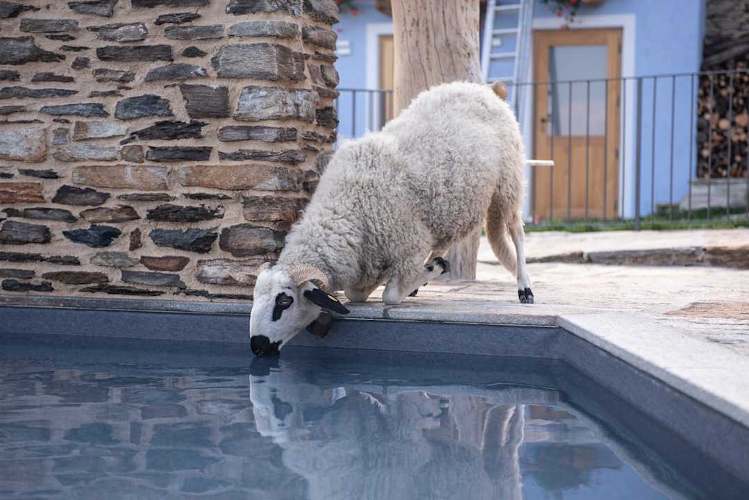 Pool Agribenessere Agli Abatti