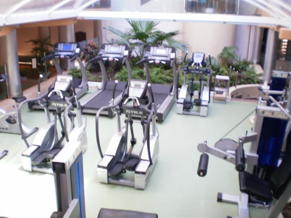 Wellness & Fitness Bull Dorado Beach & Spa