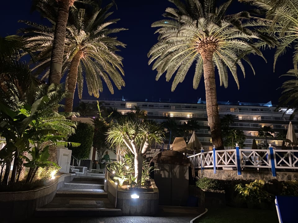 Gartenanlage Bull Costa Canaria & Spa - Adults only