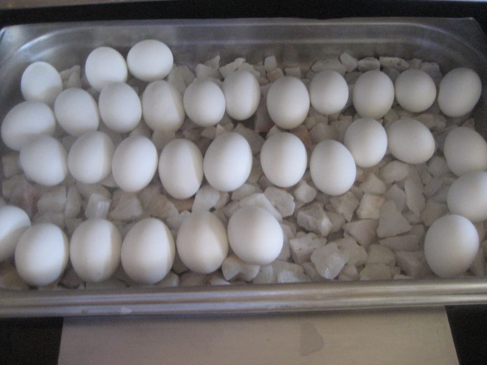 Gastro Serenity Alpha Beach