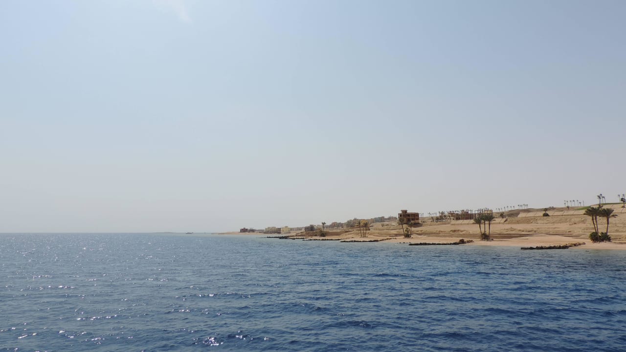 Einfach traumhaft Pickalbatros Citadel Resort