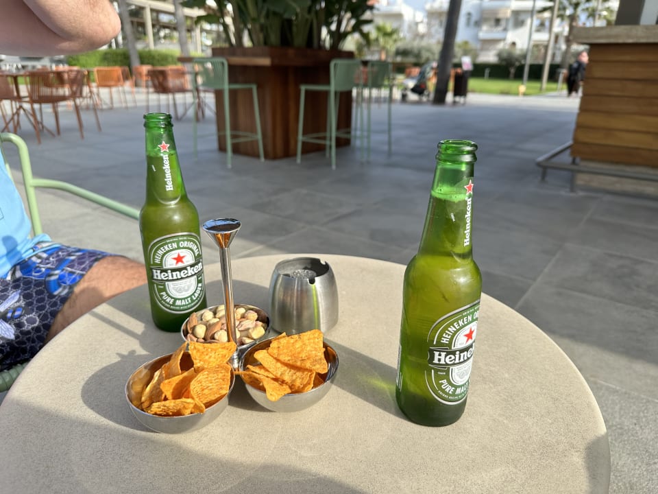 Gastro Acanthus Cennet Barut Collection