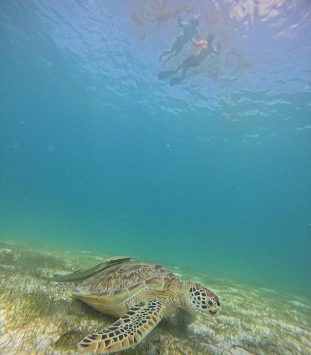 Sport & Freizeit Le Meridien Maldives Resort & Spa