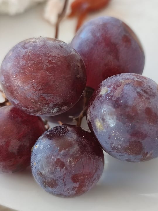 Gastro Anavadia Hotel