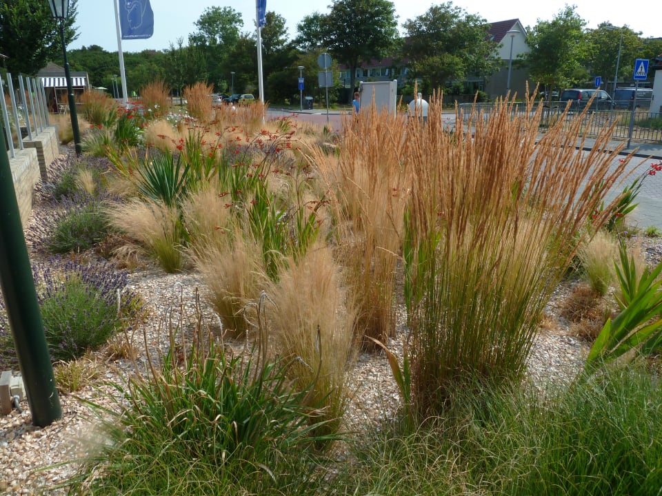 Gartenanlage Hotel het Zwaantje