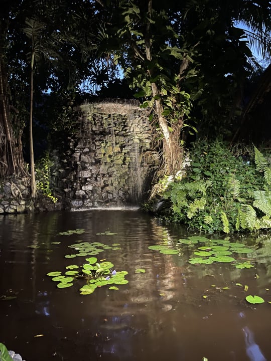 Gartenanlage Hotel Southern Palms Beach Resort