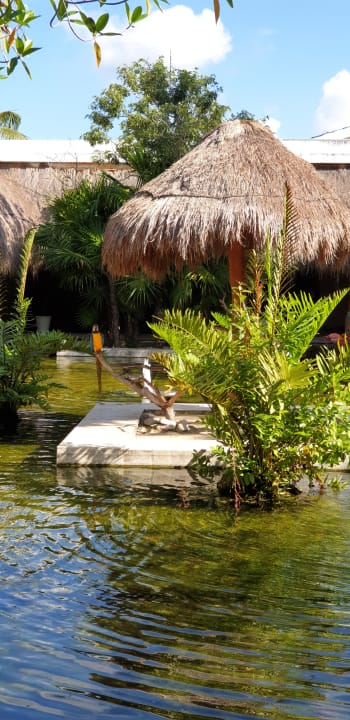 Garten Iberostar Waves Paraiso del Mar