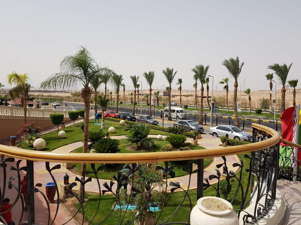 Zimmer zum Beach Albatros  Pickalbatros Palace Resort