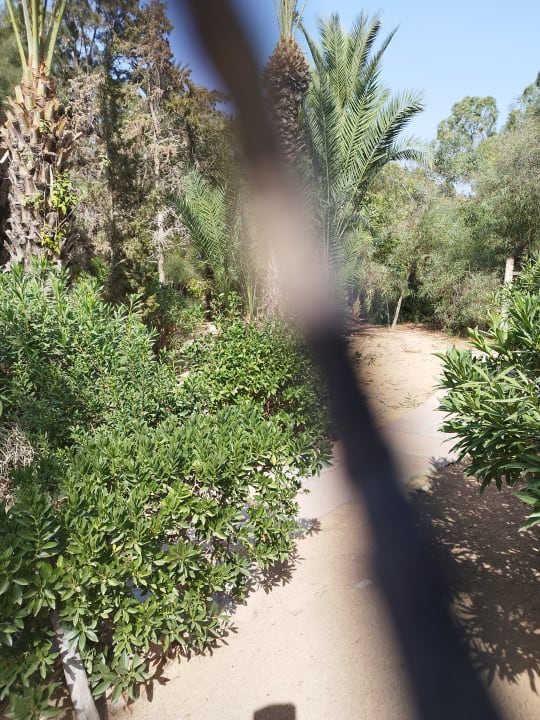 Gartenanlage Marhaba Royal Salem