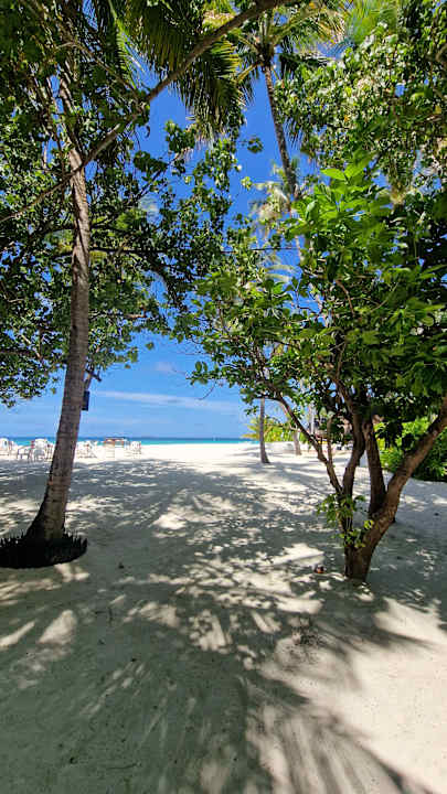 Gartenanlage Thulhagiri Island Resort