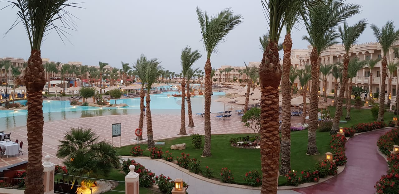 Pool Pickalbatros Palace Resort