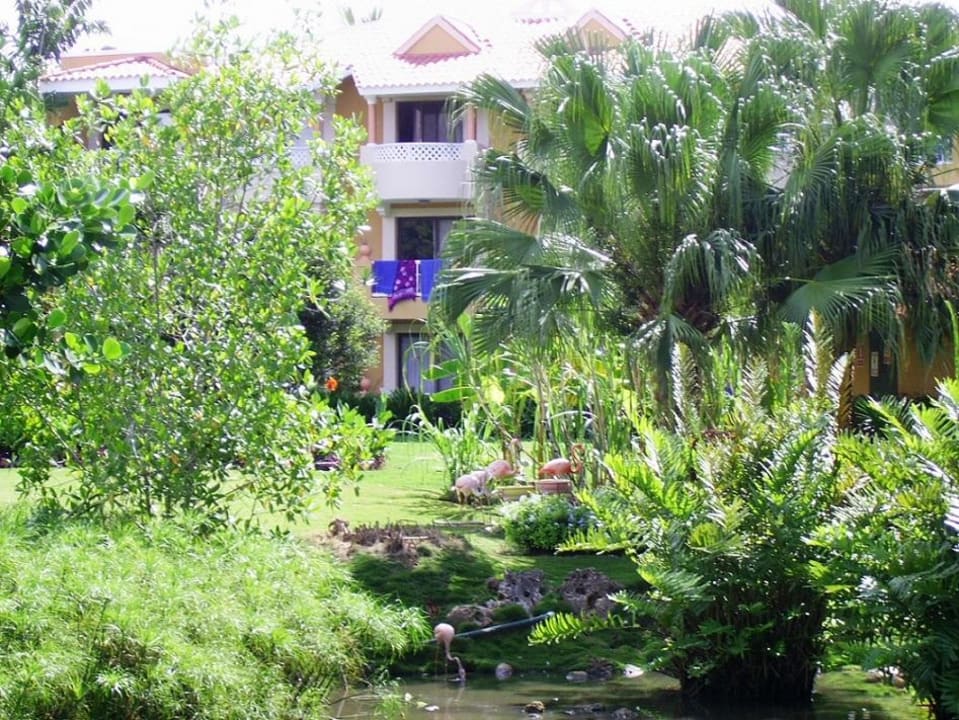 Gartenanlage mit Flamingos Hotel Viva Dominicus Palace by Wyndham-All Inclusive Resort