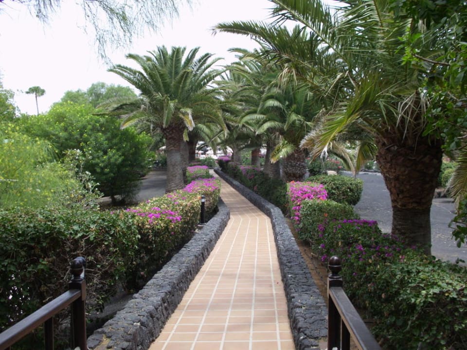 Weg vom Hotel Relaxia Olivina