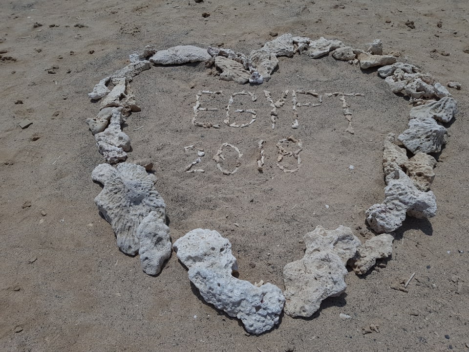 Strand Malikia Resort Abu Dabbab