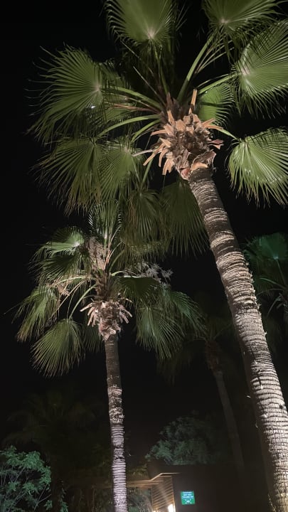 Gartenanlage Sentido Trendy Verbena Beach