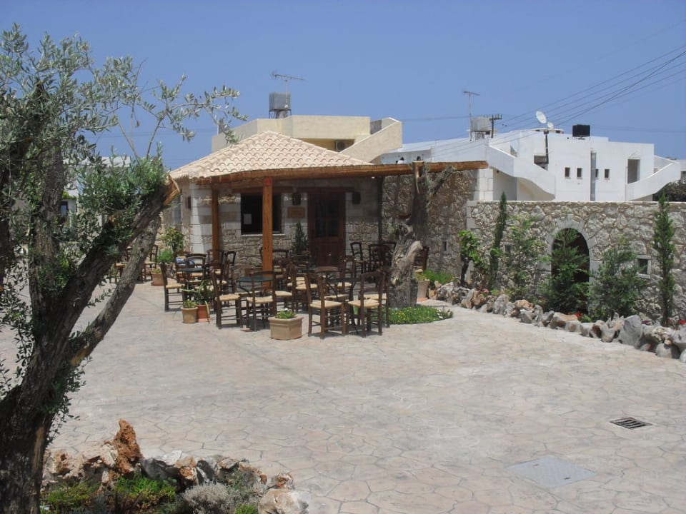 Kaffee Kafenio Cactus Royal