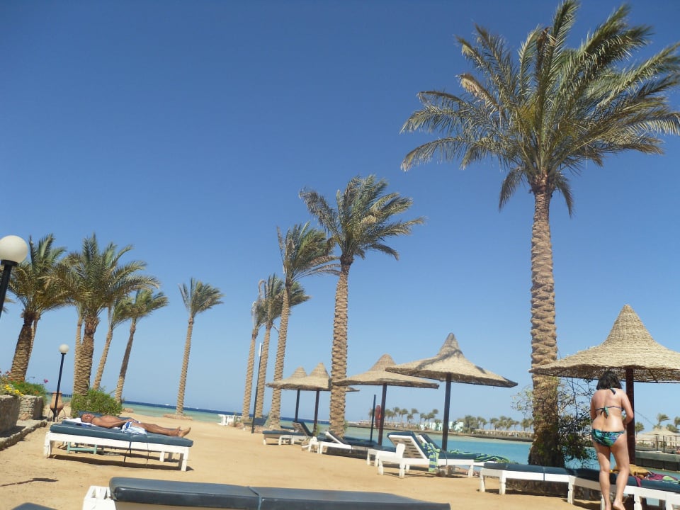 Marina Arabia Azur Resort