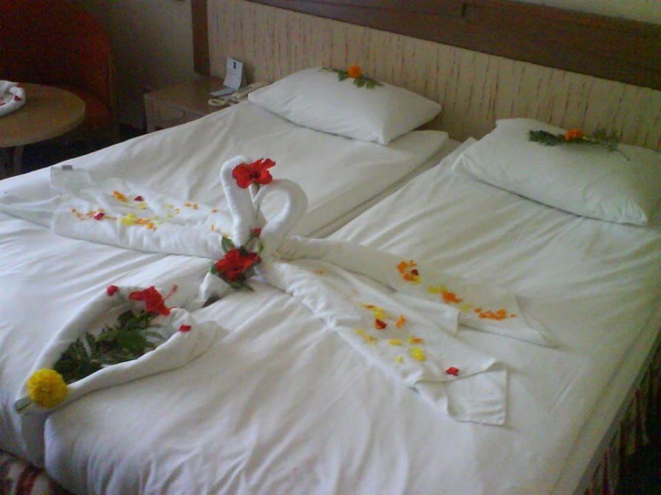 Die gelungene Überraschung der Putzfrauen Melas Resort Hotel