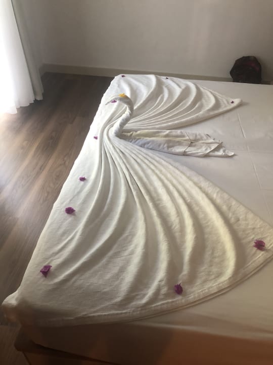 Zimmer Monachus Family Resort Sorgun