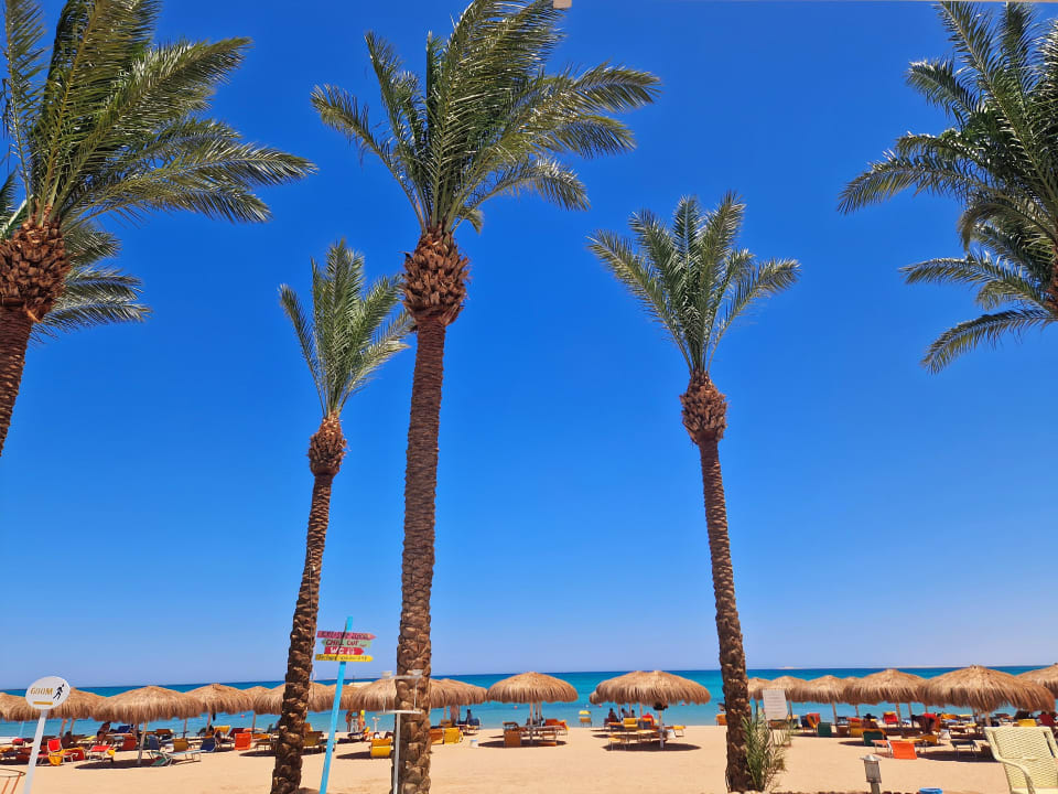 Strand Sentido Caribbean World Soma Bay