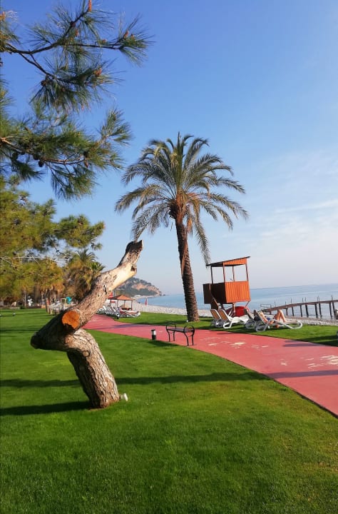 Strand TUI MAGIC LIFE Beldibi +16