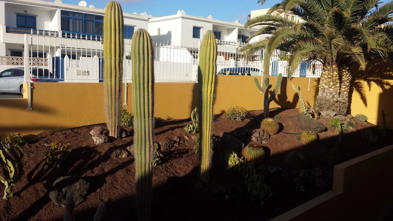 Blick von der Zimmetür von 505 nach draussen Club Hotel Drago Park