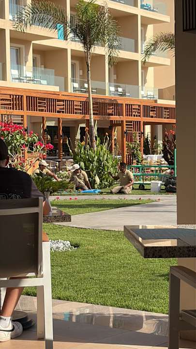 Gartenanlage JAZ Elite Asteria