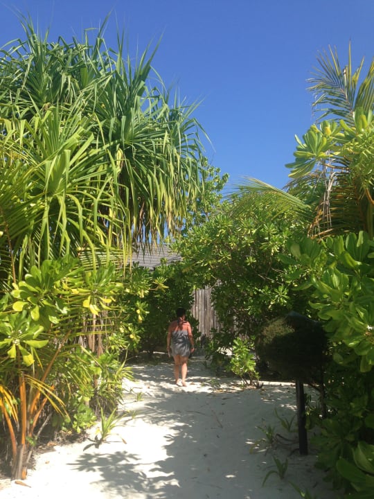 Der Weg zum Restaurant Kuredu Island Resort & Spa