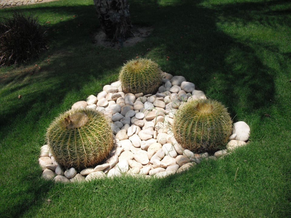 Begeisterung  Shams Prestige Abu Soma-Adults Only