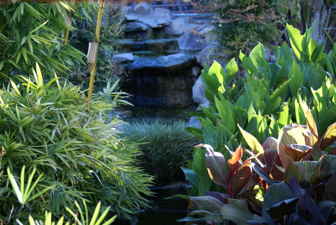 Kleiner Flußlauf in der Lodge Hotel Frans Indongo Lodge
