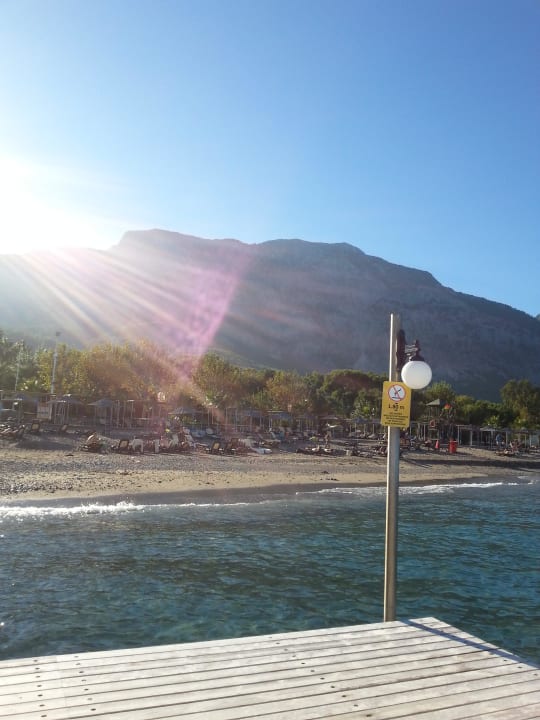 Strand Balmy Foresta