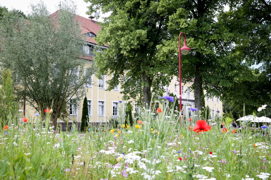 Außenansicht Schloss Wulkow