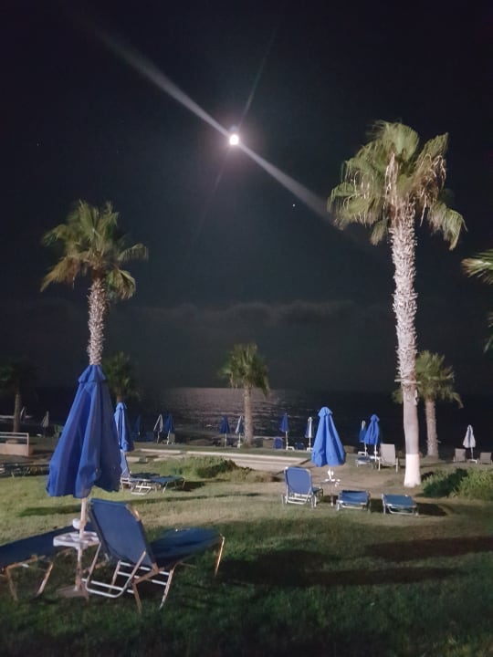 Gartenanlage Kefalos Beach Holiday Village