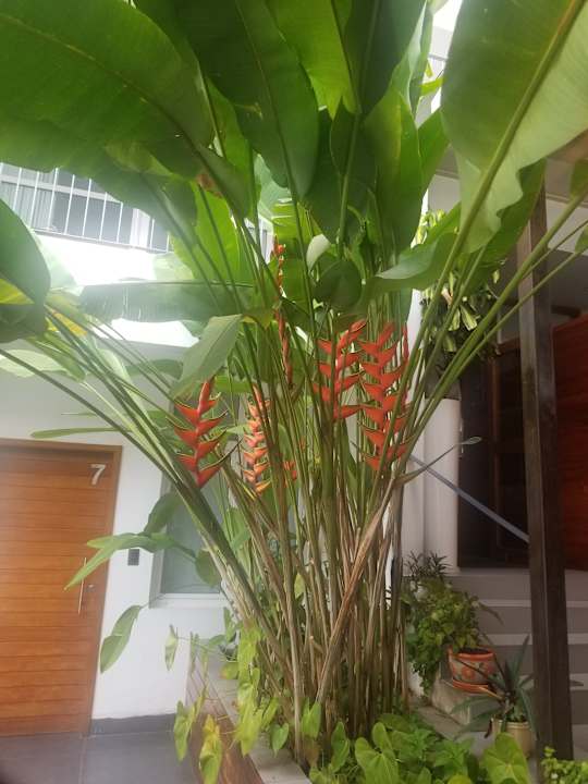 Sonstiges Tucan Suites Aparthotel