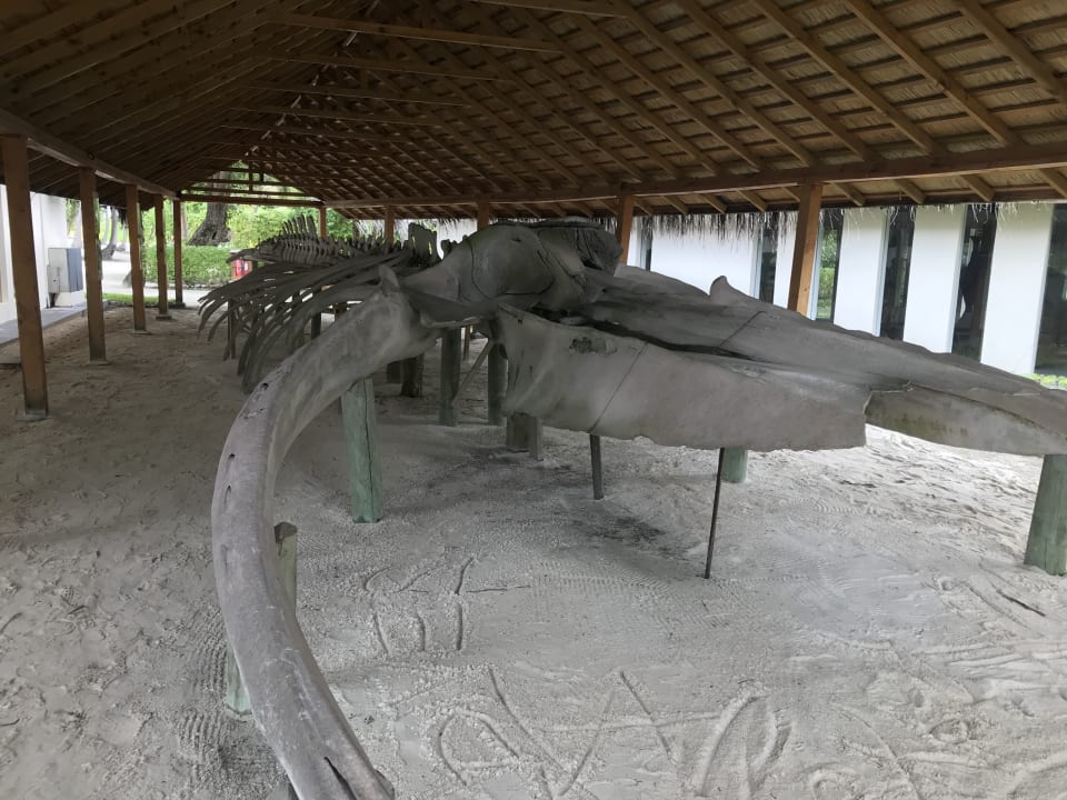 Sonstiges Meeru Maldives Resort Island