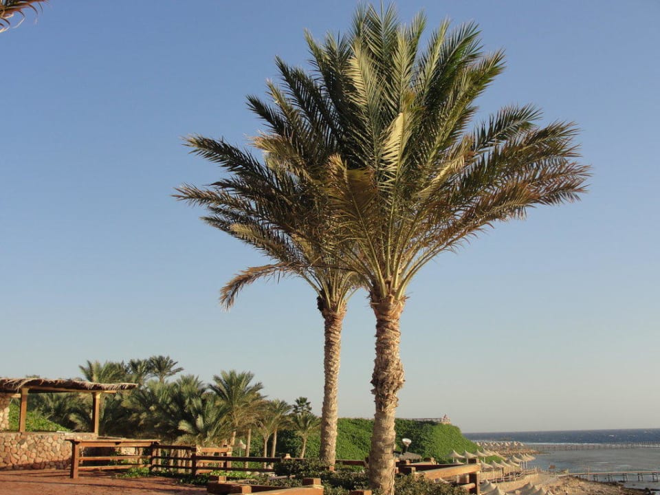 Widok na morze. Hotel Nubian Village