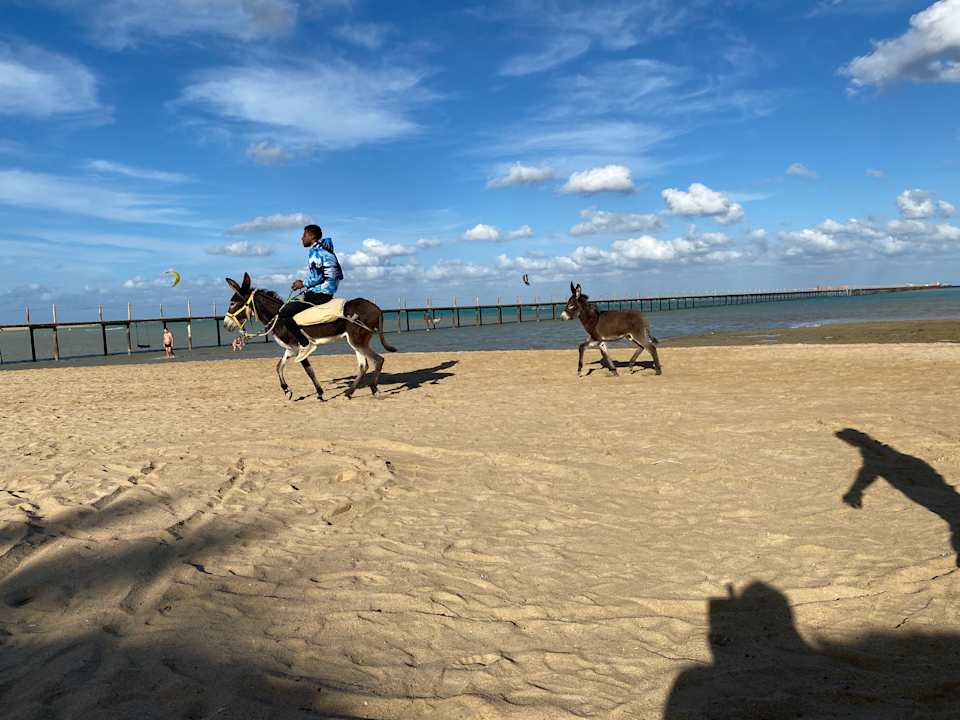 Strand Casa Mare Resort