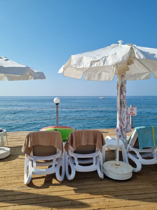 Strand Dizalya Palm Garden