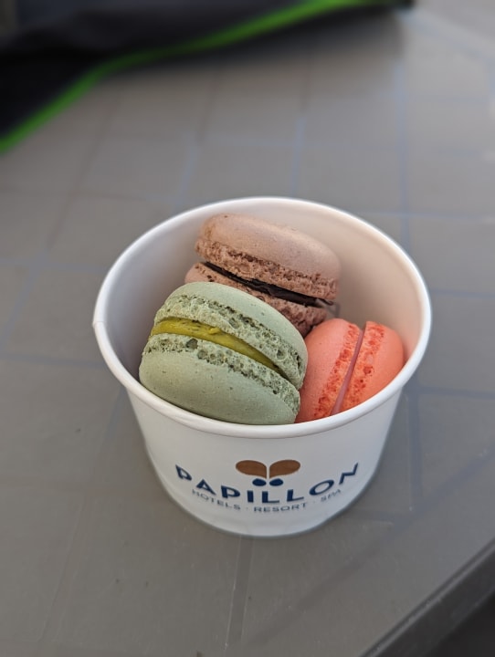 Gastro Papillon Zeugma Relaxury