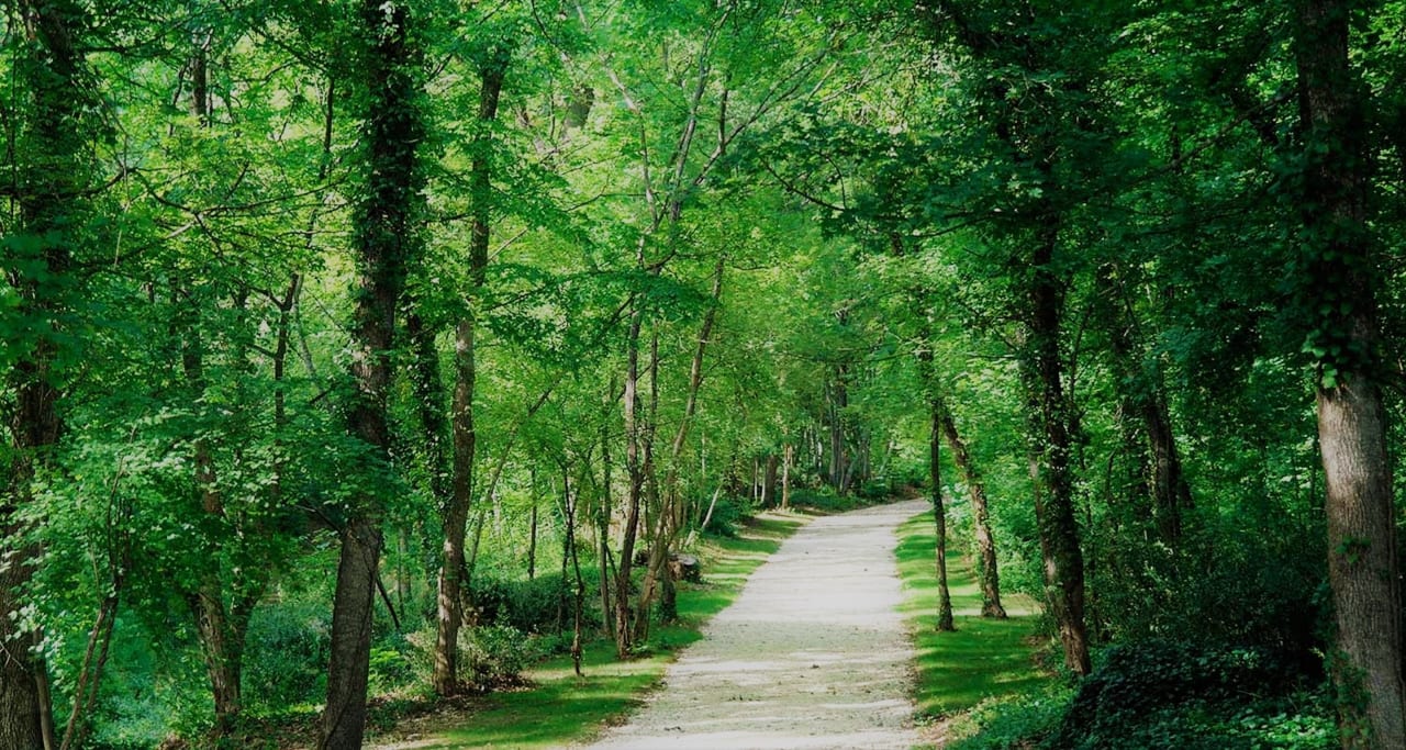 Gartenanlage Château de Pondres
