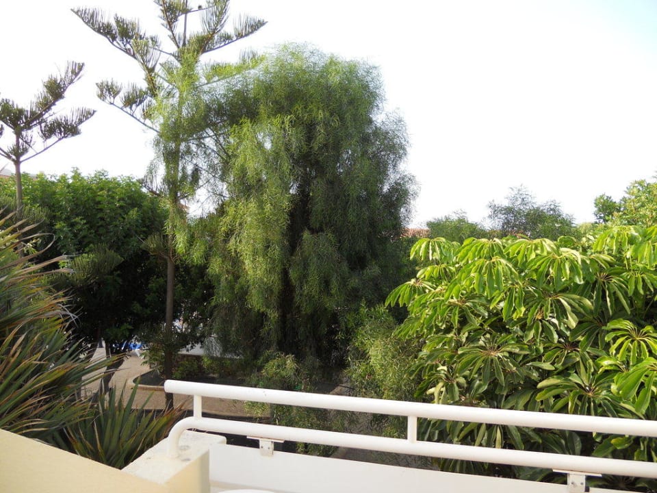 Panoramica dal terrazzo dell'Aparthotel Playa Park Zensation