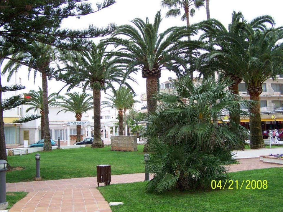 Vor dem Hotel CM Playa del Moro