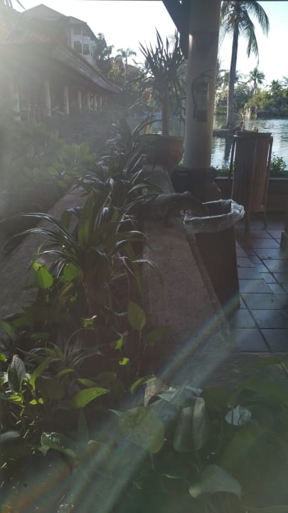 Gartenanlage Ayodya Resort Bali