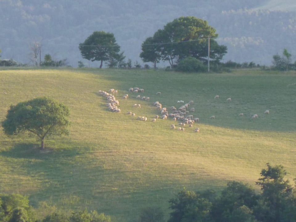 Blick von der Ferienwohnung aus Agriturismo Relais Poggio al Vento