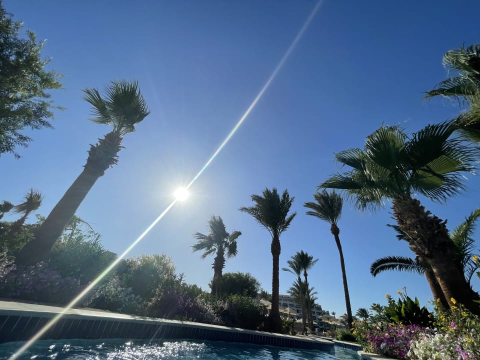 Gartenanlage Steigenberger ALDAU Beach Hotel