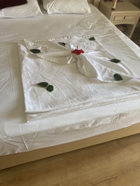 Zimmer Adalya Resort & Spa - Adults Only
