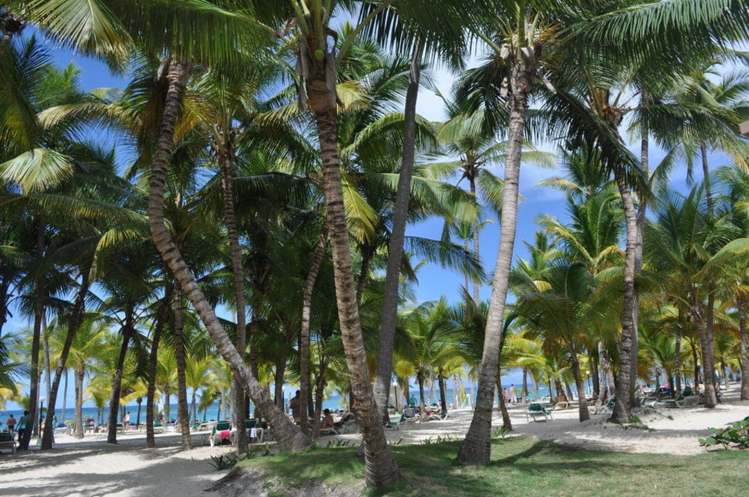 Hotel-Strand Hotel Riu Bambu