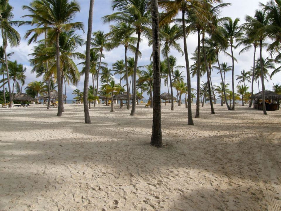 der schöne Strand Catalonia Punta Cana - All Inclusive